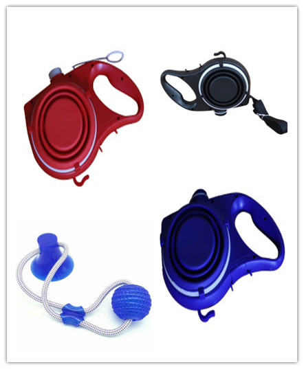 Walk Set — Water Bottle, Travel Bowl & Lead