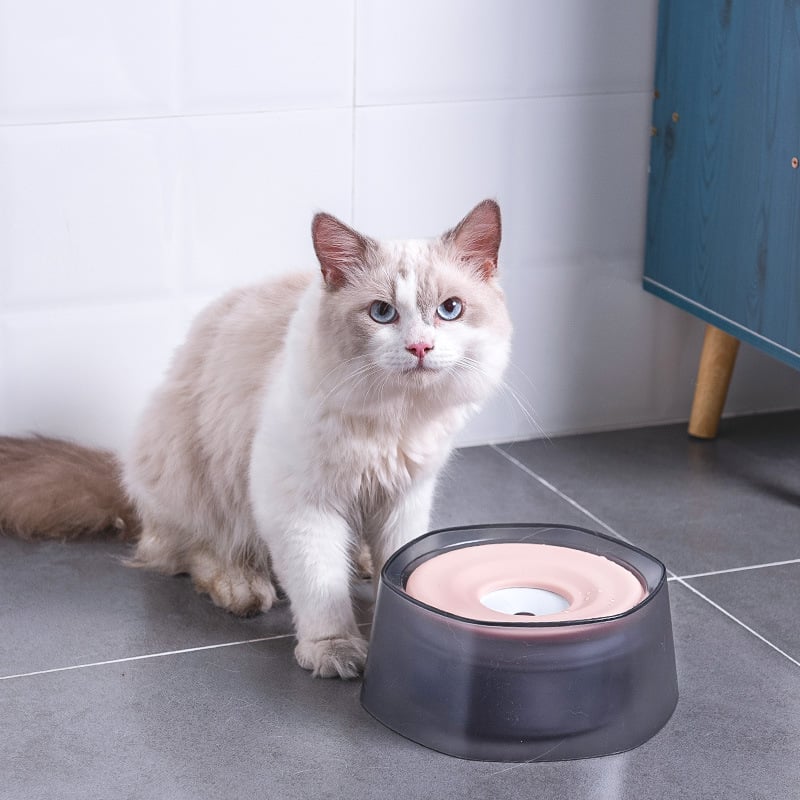 No-Spill Slow-Drink Water Bowl — Mess-Free