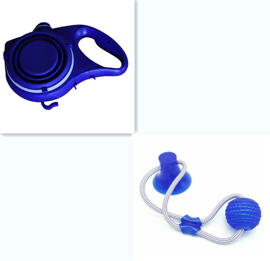 Walk Set — Water Bottle, Travel Bowl & Lead