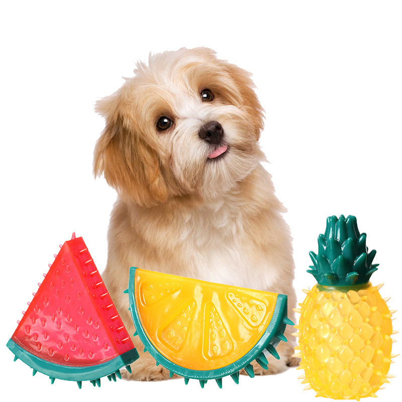 Pet Fruit Sound Ananas en Citroen Kauwspeeltje
