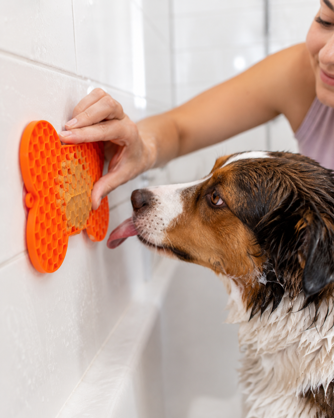 Silicone Lick Mat for Dogs — Calm, Slow & Obsessed (5 Colors)