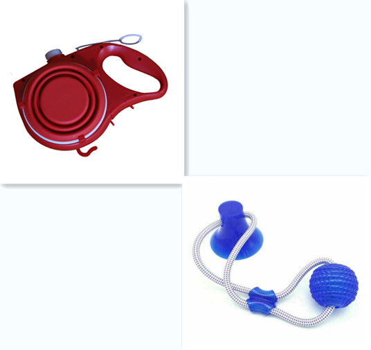 Walk Set — Water Bottle, Travel Bowl & Lead