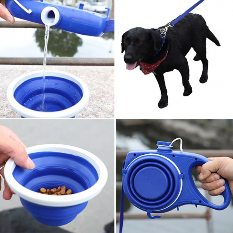 Walk Set — Water Bottle, Travel Bowl & Lead