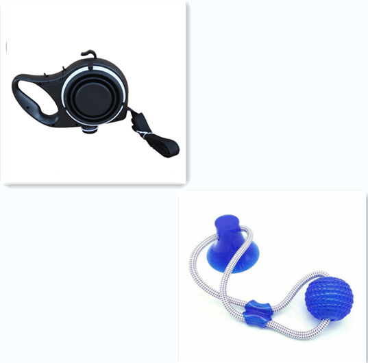 Walk Set — Water Bottle, Travel Bowl & Lead