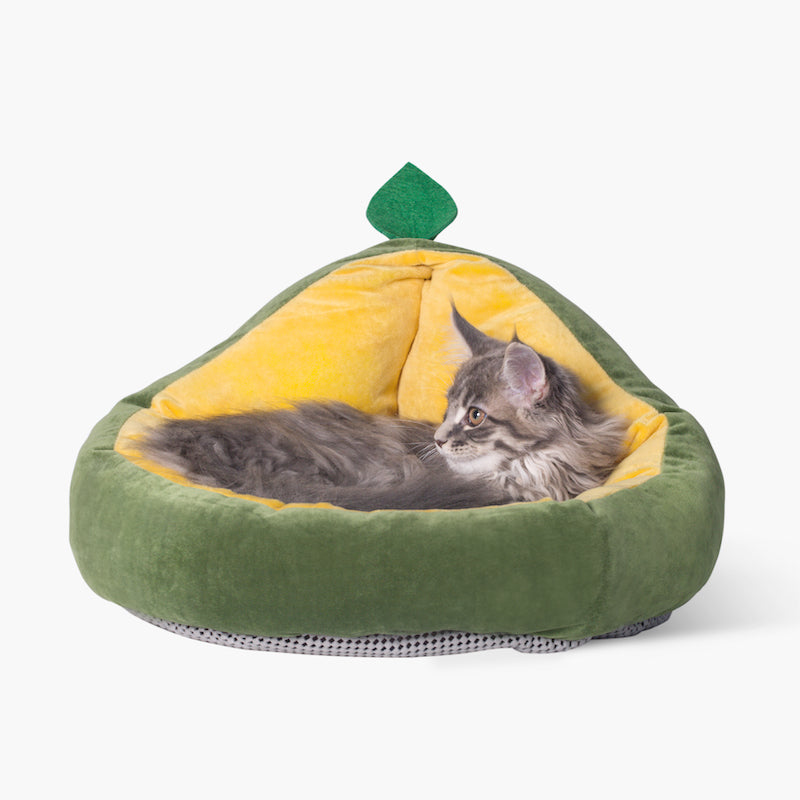 Removable-Mat Cat Bed — Easy Wash Comfort